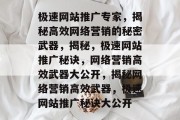 极速网站推广专家，揭秘高效网络营销的秘密武器，揭秘，极速网站推广秘诀，网络营销高效武器大公开，揭秘网络营销高效武器，极速网站推广秘诀大公开