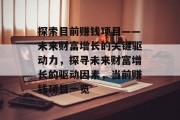 探索目前赚钱项目——未来财富增长的关键驱动力,探寻未来财富增长的驱动因素,当前赚钱项目一览 探索目前赚钱项目——未来财富增长的关键驱动力,探寻未来财富增长的驱动因素,当前赚钱项目一览