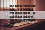 深入解析监控网站流量来源，掌握数据脉搏，优化网络营销策略，网站流量来源深度解析，数据驱动网络营销策略优化