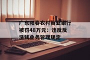 广东阳春农村商业银行被罚48万元：违反反洗钱业务管理规定