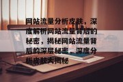 网站流量分析皮肤，深度解析网站流量背后的秘密，揭秘网站流量背后的深层秘密，深度分析皮肤大揭秘