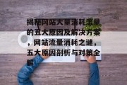揭秘网站大量消耗流量的五大原因及解决方案，网站流量消耗之谜，五大原因剖析与对策全解
