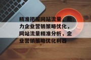 精准把握网站流量，助力企业营销策略优化，网站流量精准分析，企业营销策略优化利器