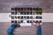 网站制造公司的崛起与挑战，网站制造公司崛起与机遇与挑战，网站制造公司，崛起与机遇与挑战