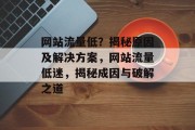 网站流量低？揭秘原因及解决方案，网站流量低迷，揭秘成因与破解之道