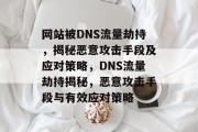 网站被DNS流量劫持，揭秘恶意攻击手段及应对策略，DNS流量劫持揭秘，恶意攻击手段与有效应对策略