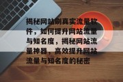 揭秘网站刷真实流量软件，如何提升网站流量与知名度，揭秘网站流量神器，高效提升网站流量与知名度的秘密