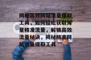 揭秘高效网站流量提取工具，如何轻松获取海量精准流量，解锁高效流量秘诀，揭秘精准网站流量提取工具