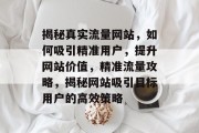 揭秘真实流量网站，如何吸引精准用户，提升网站价值，精准流量攻略，揭秘网站吸引目标用户的高效策略