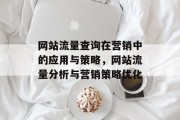 网站流量查询在营销中的应用与策略，网站流量分析与营销策略优化