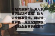 网站流量解析，深入洞察网站访问数据，助力企业精准营销，网站流量解析，深度挖掘数据，驱动企业营销精准化