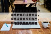 流量最大的网站，揭秘网络世界的流量巨头，网络流量巨头的秘密，揭秘流量最大的网站