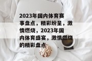 2023年国内体育赛事盘点，精彩纷呈，激情燃烧，2023年国内体育盛宴，激情燃烧的精彩盘点