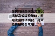 如何巧妙蹭网站流量，揭秘高效吸粉策略，网站流量蹭法揭秘，高效吸粉策略全攻略