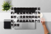 流量视频网站崛起背后的产业变革与用户行为解析，流量视频网站兴起，产业变革与用户行为洞察