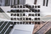 网站流量监测方法全解析，提升网站运营效率的必备工具，网站流量监控与优化策略，提升运营效率的关键工具解析