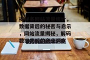 揭秘各网站流量统计，数据背后的秘密与启示，网站流量揭秘，解码数据背后的商业洞察