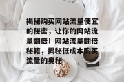 揭秘购买网站流量便宜的秘密，让你的网站流量翻倍！网站流量翻倍秘籍，揭秘低成本购买流量的奥秘