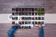 网站流量类型解析，深度挖掘网站流量背后的秘密，揭秘网站流量之谜，深度解析流量类型与背后的秘密