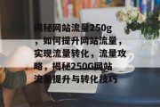 揭秘网站流量250g，如何提升网站流量，实现流量转化，流量攻略，揭秘250G网站流量提升与转化技巧