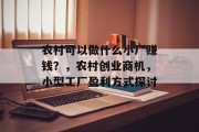 农村可以做什么小厂赚钱?,农村创业商机,小型工厂盈利方式探讨