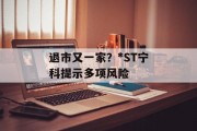 退市又一家?*ST宁科提示多项风险 退市又一家?*ST宁科提示多项风险