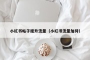 小红书帖子提升流量（小红书流量加持）
