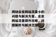 揭秘企业网站流量小的问题与解决方案，企业网站流量提升攻略，问题解析与解决之道