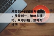 从零到一的策略与技巧，从零到一，策略与技巧，从零开始，策略与技巧