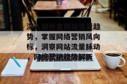 深入解析查网站流量趋势，掌握网络营销风向标，洞察网站流量脉动，网络营销趋势解析