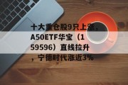 十大重仓股9只上涨,A50ETF华宝(159596)直线拉升,宁德时代涨近3% 十大重仓股9只上涨,A50ETF华宝(159596)直线拉升,宁德时代涨近3%