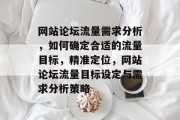 网站论坛流量需求分析，如何确定合适的流量目标，精准定位，网站论坛流量目标设定与需求分析策略