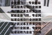 武汉本土开发公司助力企业腾飞——专业网站建设服务引领行业新潮流，武汉本土开发公司赋能企业飞跃，专业网站建设推动行业创新浪潮，武汉本土开发公司引领行业新潮，专业网站建设助力企业飞跃腾飞