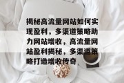 揭秘高流量网站如何实现盈利，多渠道策略助力网站增收，高流量网站盈利揭秘，多渠道策略打造增收传奇