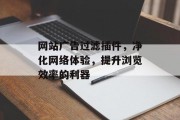 网站广告过滤插件,净化网络体验,提升浏览效率的利器 网站广告过滤插件,净化网络体验,提升浏览效率的利器