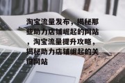 淘宝流量发布，揭秘那些助力店铺崛起的网站，淘宝流量提升攻略，揭秘助力店铺崛起的关键网站