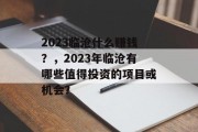 2023临沧什么赚钱?,2023年临沧有哪些值得投资的项目或机会? 2023临沧什么赚钱?,2023年临沧有哪些值得投资的项目或机会?