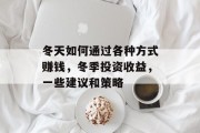 冬天如何通过各种方式赚钱,冬季投资收益,一些建议和策略
