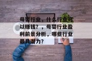 母婴行业,什么行业可以赚钱?,母婴行业盈利前景分析,哪些行业最具潜力? 母婴行业,什么行业可以赚钱?,母婴行业盈利前景分析,哪些行业最具潜力?