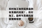 农村加工如何实现盈利和发展的双赢?,农村加工,盈利与发展的双赢策略探索