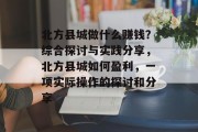 北方县城做什么赚钱?综合探讨与实践分享,北方县城如何盈利,一项实际操作的探讨和分享 北方县城做什么赚钱?综合探讨与实践分享,北方县城如何盈利,一项实际操作的探讨和分享