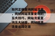 如何正确查询网站流量，揭秘网站流量查询的五大技巧，网站流量查询五大秘籍，揭秘精准流量追踪之道
