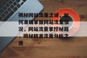 揭秘网站流量之谜，如何准确掌握网站流量情况，网站流量掌控秘籍，揭秘精准流量分析之道