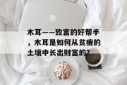 木耳——致富的好帮手,木耳是如何从贫瘠的土壤中长出财富的?