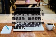 网站流量背后的商机，揭秘卖什么产品能吸引海量流量，流量密码，揭秘热门产品如何引爆网络商机
