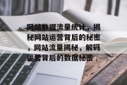 网站数据流量统计，揭秘网站运营背后的秘密，网站流量揭秘，解码运营背后的数据秘密