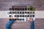 特色项目的盈利之道,成功的项目盈利模式分析,特色项目的商业策略与案例研究 特色项目的盈利之道,成功的项目盈利模式分析,特色项目的商业策略与案例研究