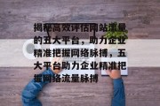 揭秘高效评估网站流量的五大平台，助力企业精准把握网络脉搏，五大平台助力企业精准把握网络流量脉搏