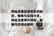 网站流量猛涨背后的秘密，策略与实践分享，网站流量飙升揭秘，策略与实践全解析