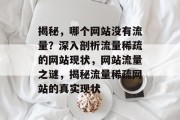 揭秘，哪个网站没有流量？深入剖析流量稀疏的网站现状，网站流量之谜，揭秘流量稀疏网站的真实现状